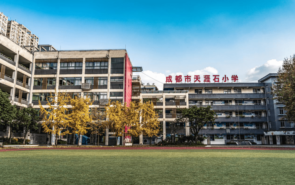 爱成都迎大运最美校园伴我行丨成都市天涯石小学