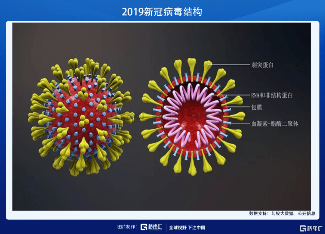 1,新冠病毒疫苗研发路线共5条,仅国内有灭活疫苗