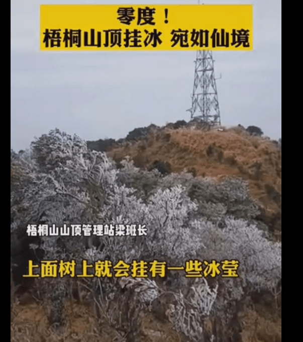 广东加入下雪“群聊”，深圳梧桐山出现霜冻，网友：难得啊！