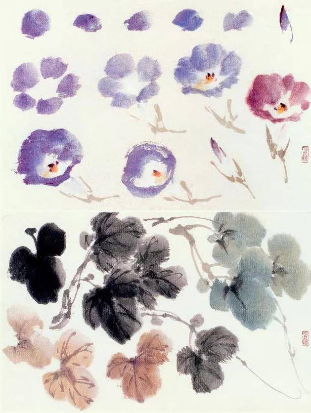 萧朗花卉课徒画稿(收藏)
