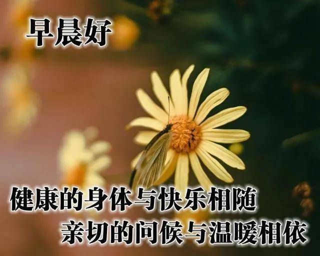 心存温暖,便是春天,你好;2021年第一个月,早安