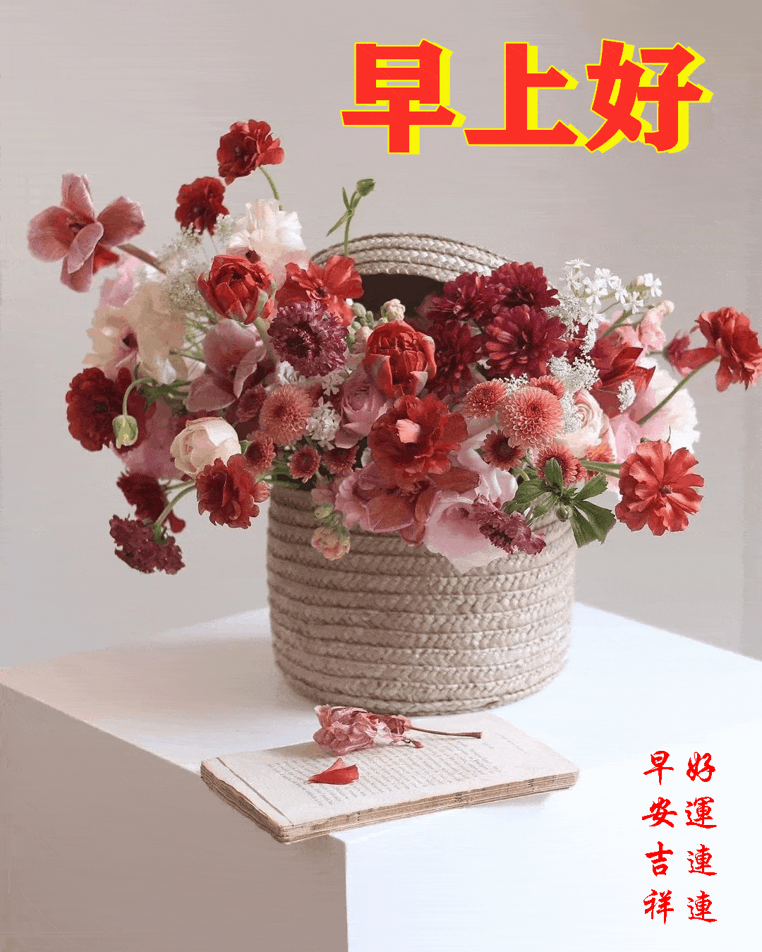 2021110周日愉快《早安心语》∮