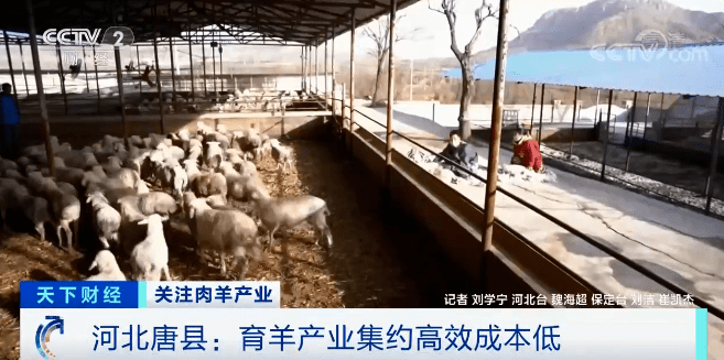 养殖户笑了…_唐县
