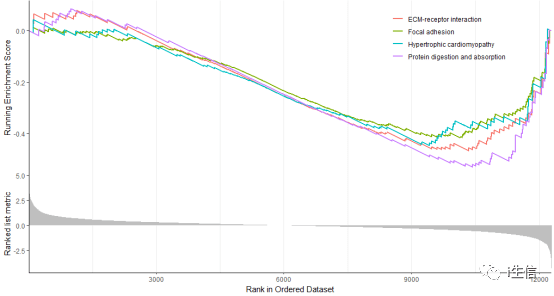 r语言怎么做gdp预测_r语言绘制世界各国的人均GDP,出生时的预期寿命和人口动态气泡图动画gif图