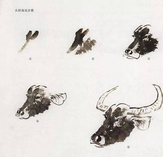 阅读 | 牛的画法