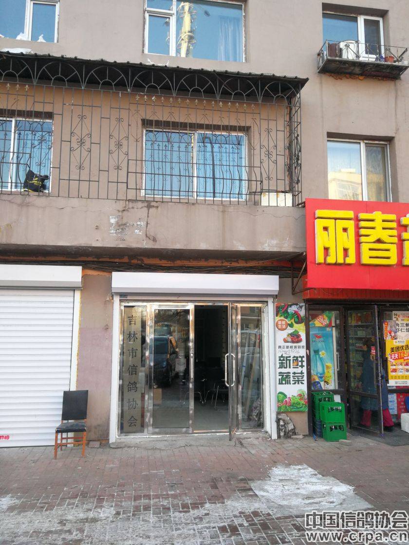 鸽子协会电话 744c8d475ecc44a2acc9f6608cd2da18.jpeg