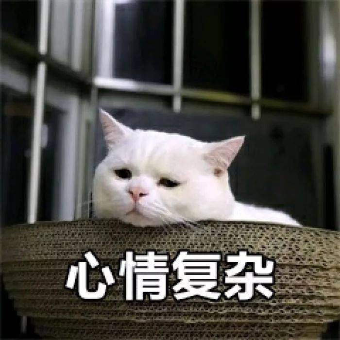 这是今年冬天最强的基础。比毛衣时尚,比毛衣薄。谁穿谁受表扬!!!