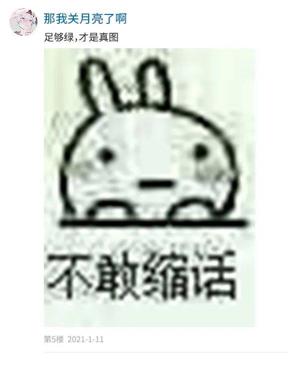 c55b58c1e6634c5ba339dfb057424932.jpeg