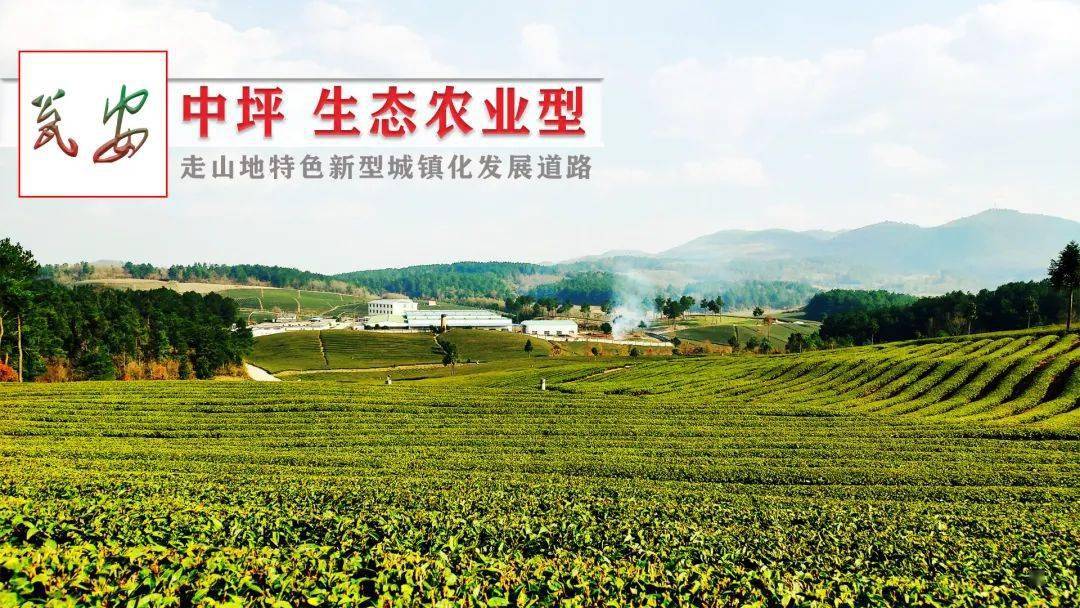 瓮安城区人口_瓮安兰江老婆吴涛(3)