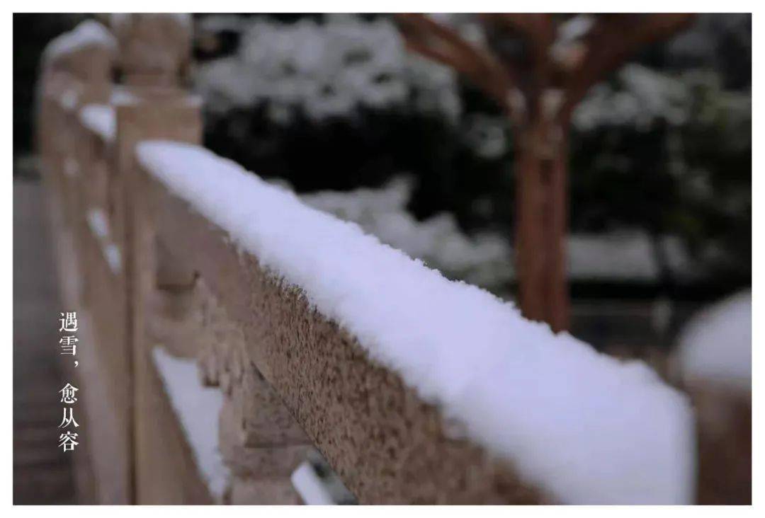 大家所有的烦恼都被冬天的雪埋藏 随着春暖花开的到来 消失得无影无踪