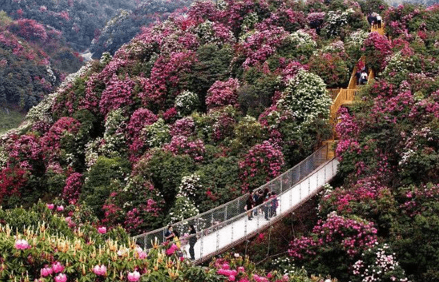 毕节市2020年gdp_毕节市地图