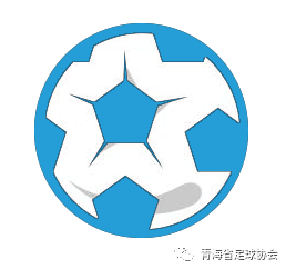 
回首丨2020年轻海足球的点点滴滴-乐鱼(图1)