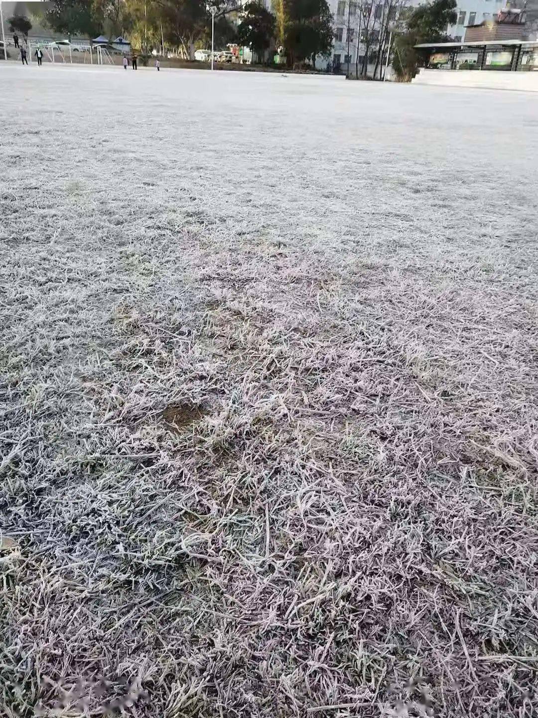 怀集下雪啦来看看怀集的雪到底是啥