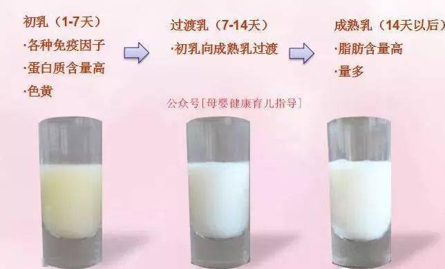 按照产后时间的不同,有人将母乳分为了初乳,过渡乳,成熟乳和晚乳.