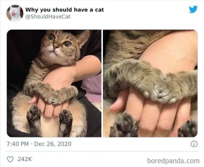 e7880be12da443659f85e498bc2ecc30.jpeg