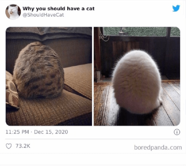 f534bd9d0986470aa29a4faeba1357e8.png