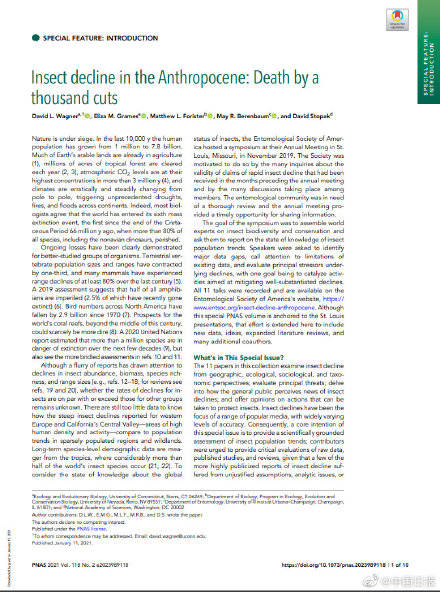 警告|科学家警告地球上的昆虫正在快速消失