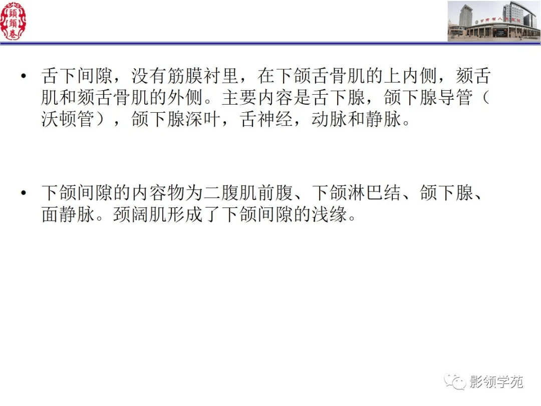 舌口底影像解剖及常见疾病诊断