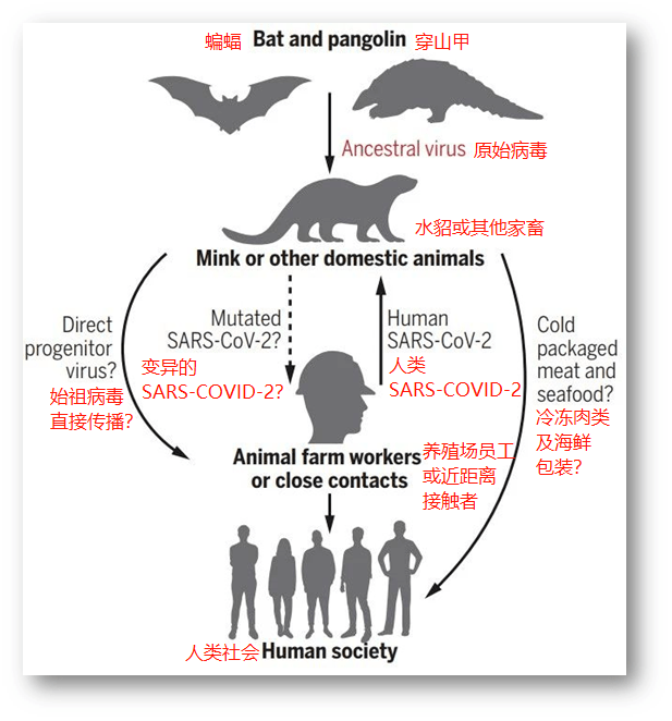 会括号人口_大括号(2)