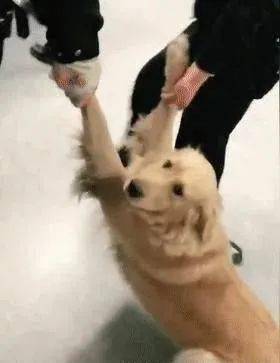 476956462f904c92a92f544969622ac7.jpeg