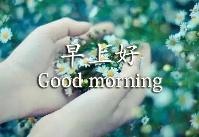 1月14日中午好表情图 中老年表情包 中午好表情包问候