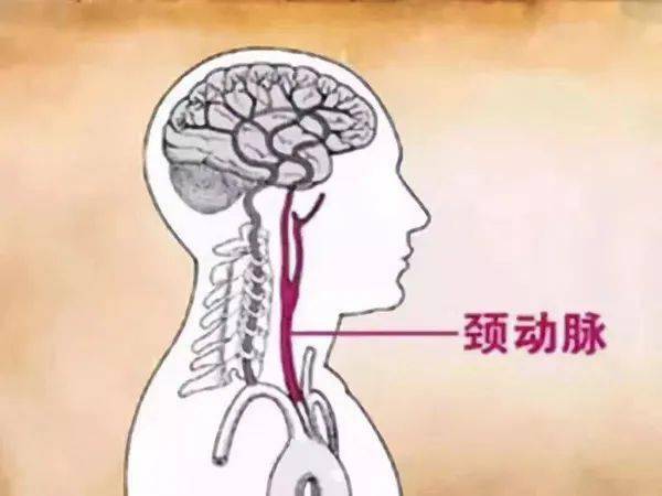 59828cff77924a10b629b13fe40a2392.jpeg