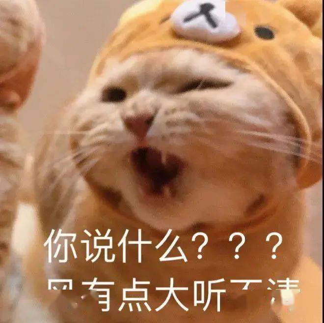 【沙雕猫表情包】橘猫沙梨表情包