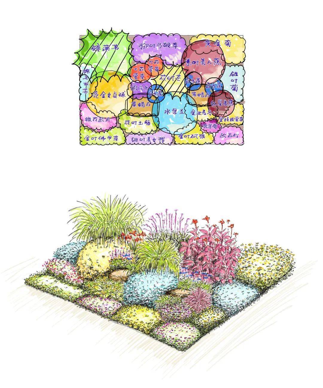学好花境设计手绘及软件制图技能,做花境方案设计从此