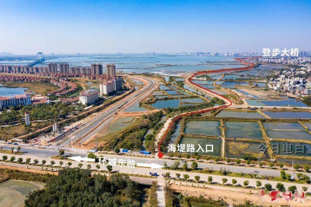 电白县有多少人口_电白县建设集团邵振才(3)