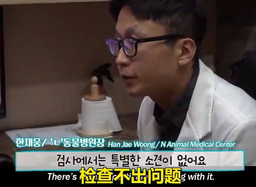 狗子病重主人擔心它是不是快要死了，送去醫院檢查：沒病，就是演技太好了… 萌趣萌寵 第3张