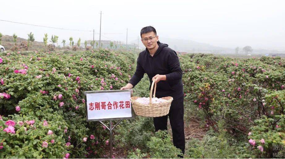 区别可大了!别怪我没告诉