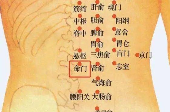 健康的身体才是唯一 9c075934ba3049df9e270f21b67c07cf.jpeg