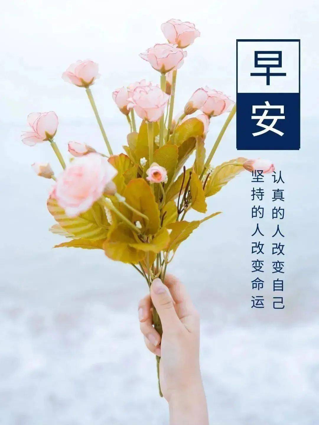 2279961d48d143a585655dc0b9a18c8a.jpeg
