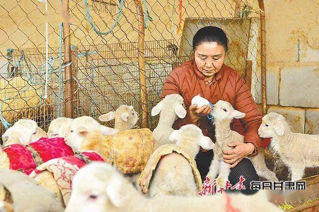 开云体育稳定访问-
山上减畜增草 山下扩群增畜——肃南县转变畜牧业生长方式助力牧民增收(图1)