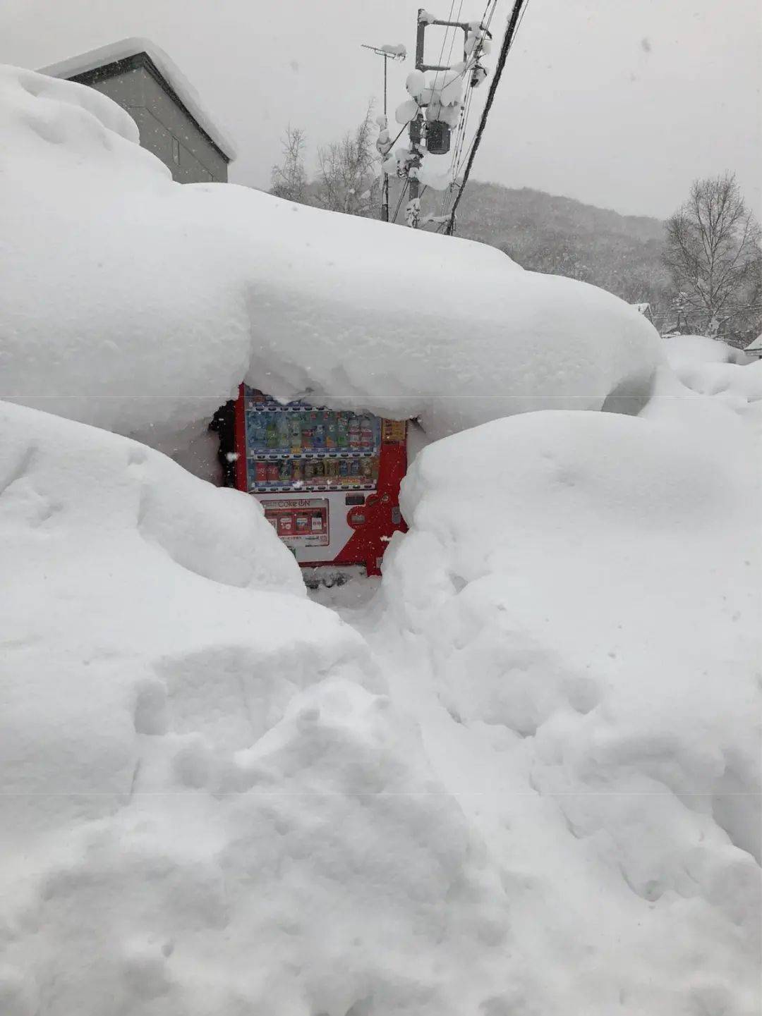 日本多地连日大雪网友拍下各种有趣和神奇的瞬间