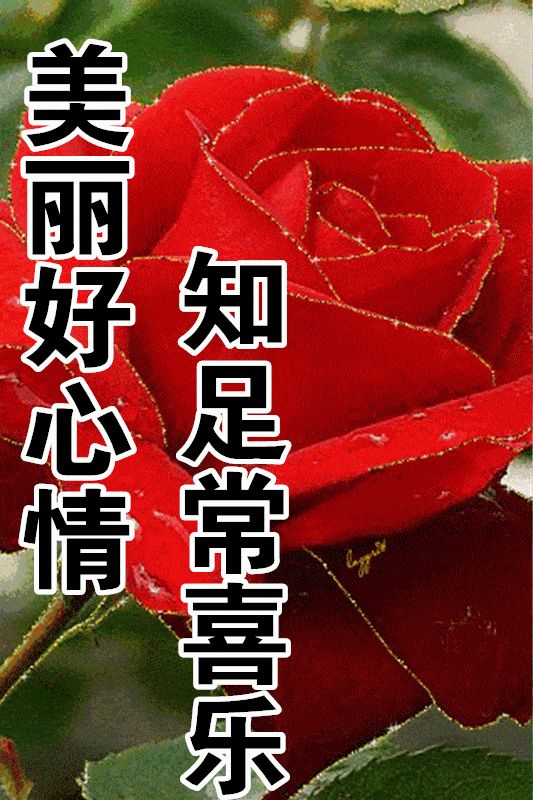 1月18日最漂亮早上好动态表情图片大全,早晨好动图美图大全