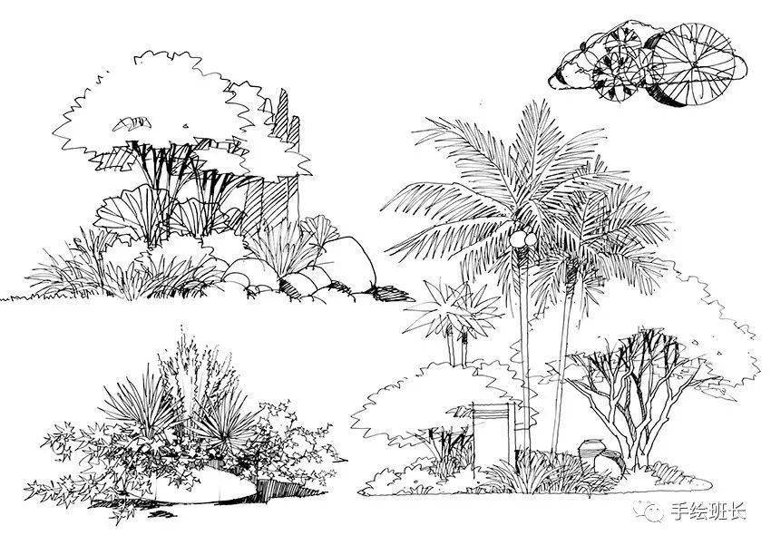手绘学习 | 景观设计手绘中轮廓植物的表现