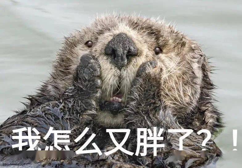 相当疑惑,愁人,烦躁开心到模糊开始激动听到八卦表
