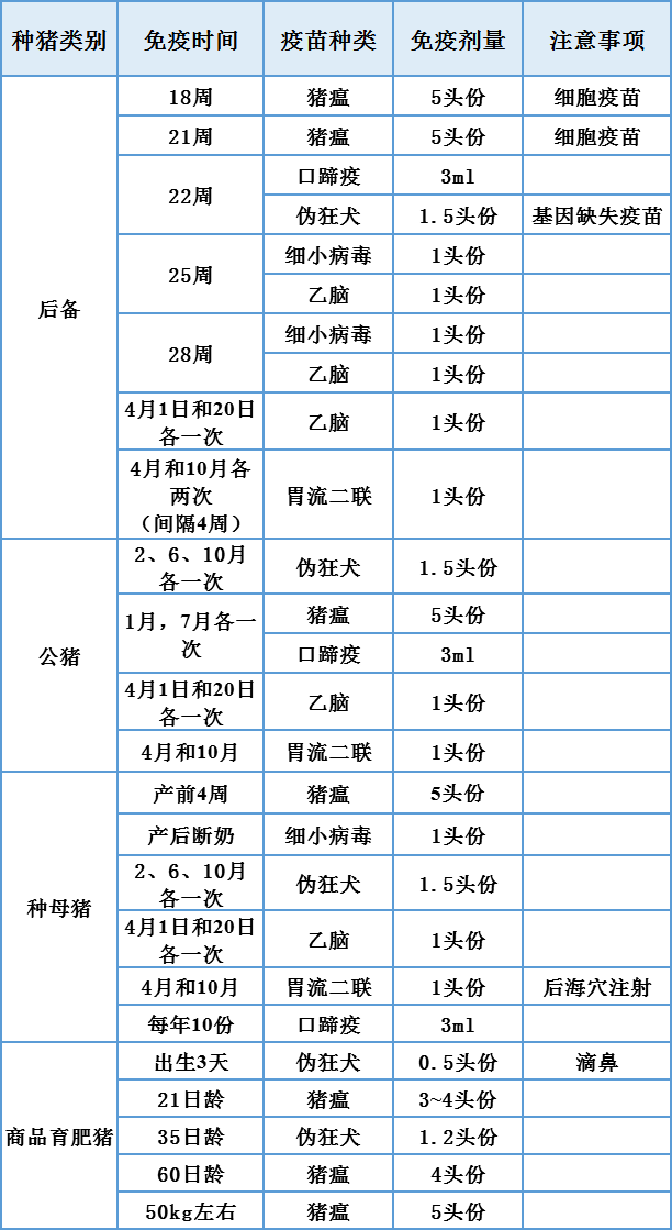 猪伪狂犬病前期征兆及伪狂犬建议免疫程序_母猪