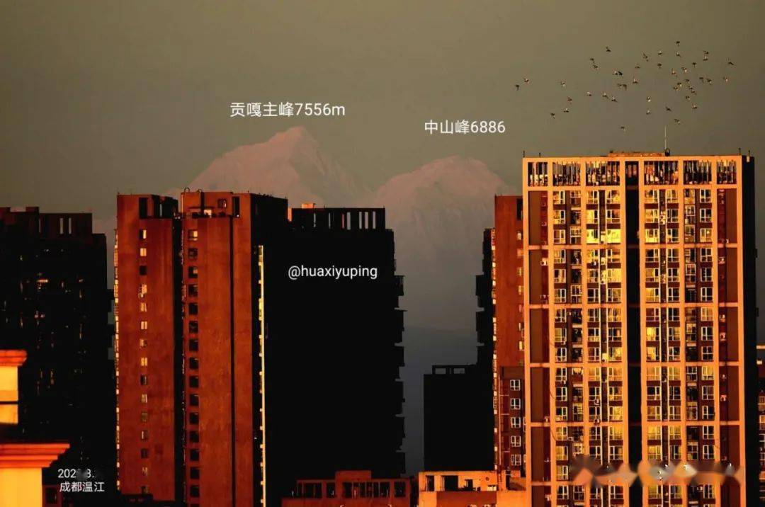 创纪录了!