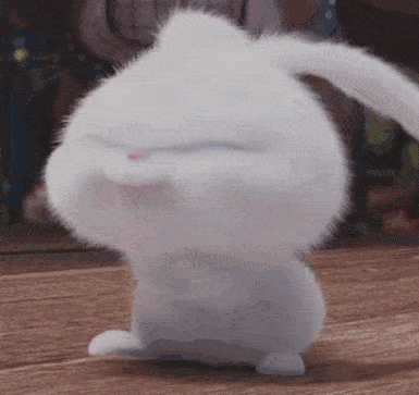 385_363gif 动态图 动图