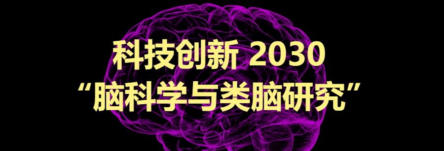 根据国家科技部网站信息,将科技创新 2030"脑科学与类脑研究"重大