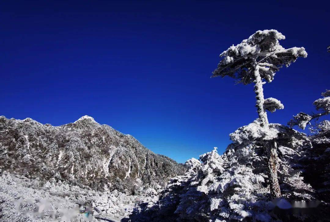 美了!大理苍山一夜白头,你要的"苍山雪"来了(图 视频)