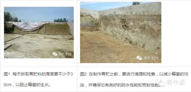 【青贮窖】该如何设计