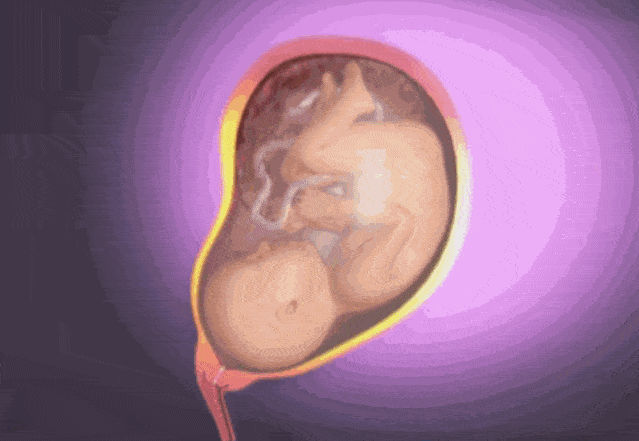 3d还原女性分娩过程,再也不敢说生孩子容易了