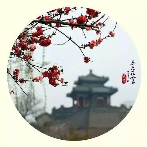 人格如金