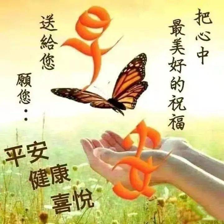 7张最新有创意好看的老同学早安问候图片精选 免打字的老同学早上好