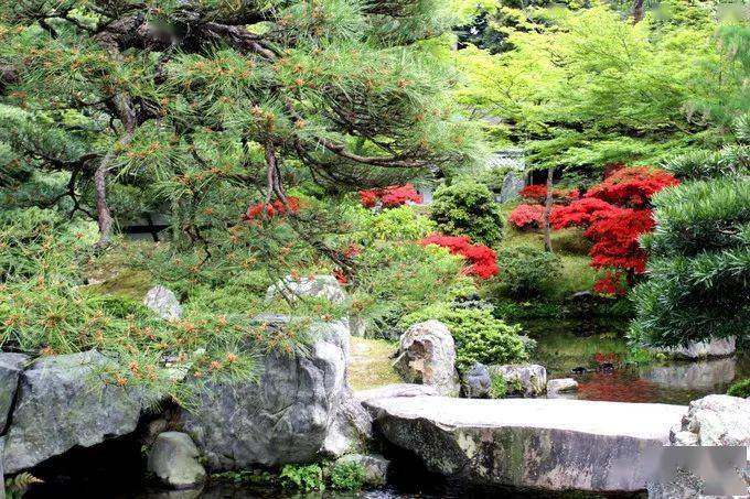 日式庭院景观的精华篇,值得收藏!