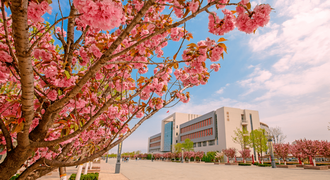 相约国家"双高计划"学校 | 潍坊职业学院2021年单独招生,综合评价招生