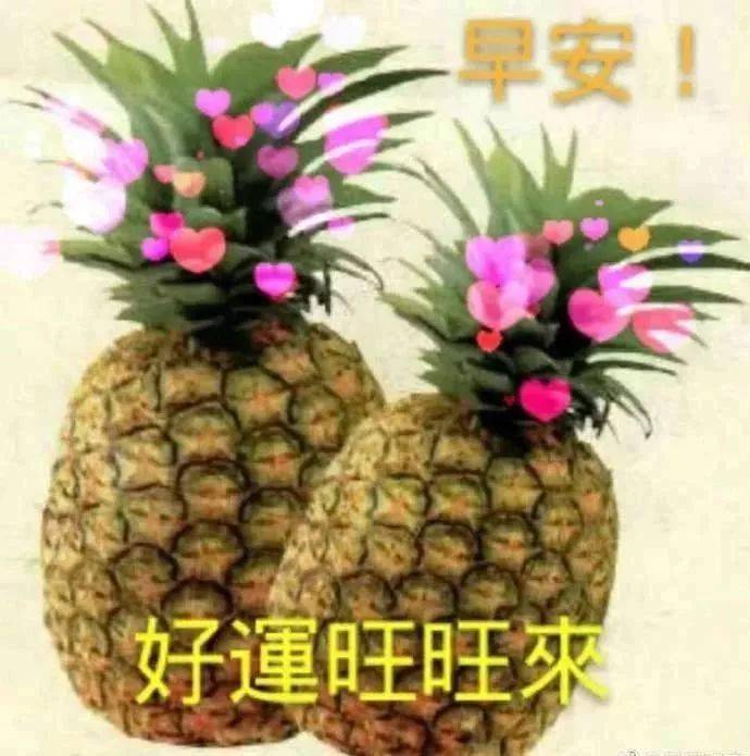 1月份很棒很赞的早上好问候语动态表情图片早上好暖心问候图片带字
